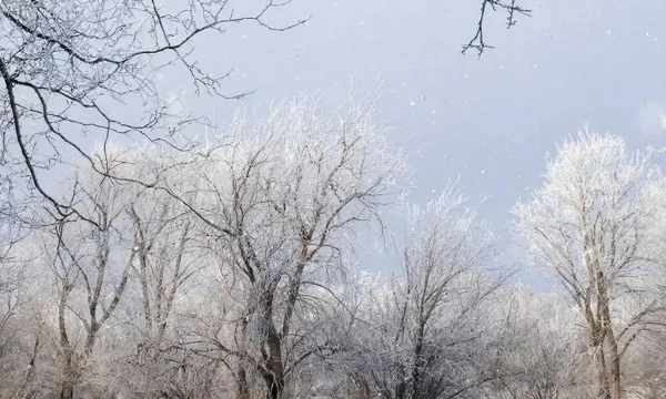 В Пермском крае ожидается аномально холодная погода