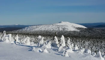 Не вернулись на базу в назначенное время: в Пермском крае на горе Ослянка пропали 13 туристов
