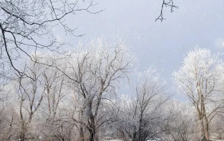 В Пермском крае ожидается аномально холодная погода В Пермском крае ожидается аномально холодная погода