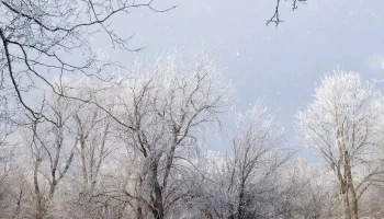 В Пермском крае ожидается аномально холодная погода